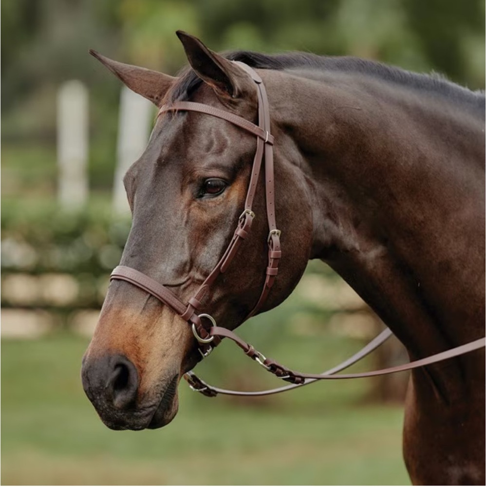 Dr Cook’s Bitless Leather Horse Bridle
